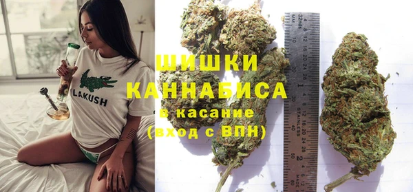 стафф Заводоуковск