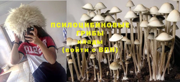 гашиш Заволжск