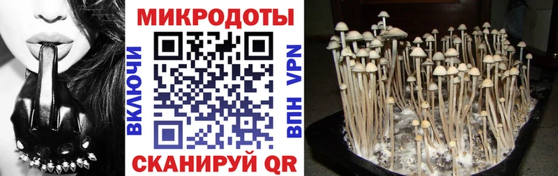 где купить наркотик  Пыталово  Псилоцибиновые грибы Psilocybine cubensis 